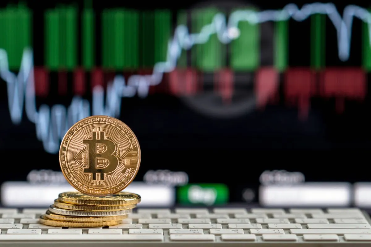 India's Crypto Industry Advocacy Body Disbanded - Top Crypto Updates